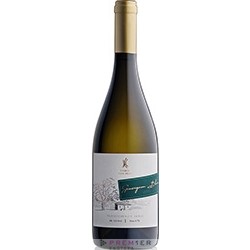 Stari Hrast Sauvignon Blanc
